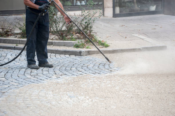 Best Roof Washing  in Excelsior, MN